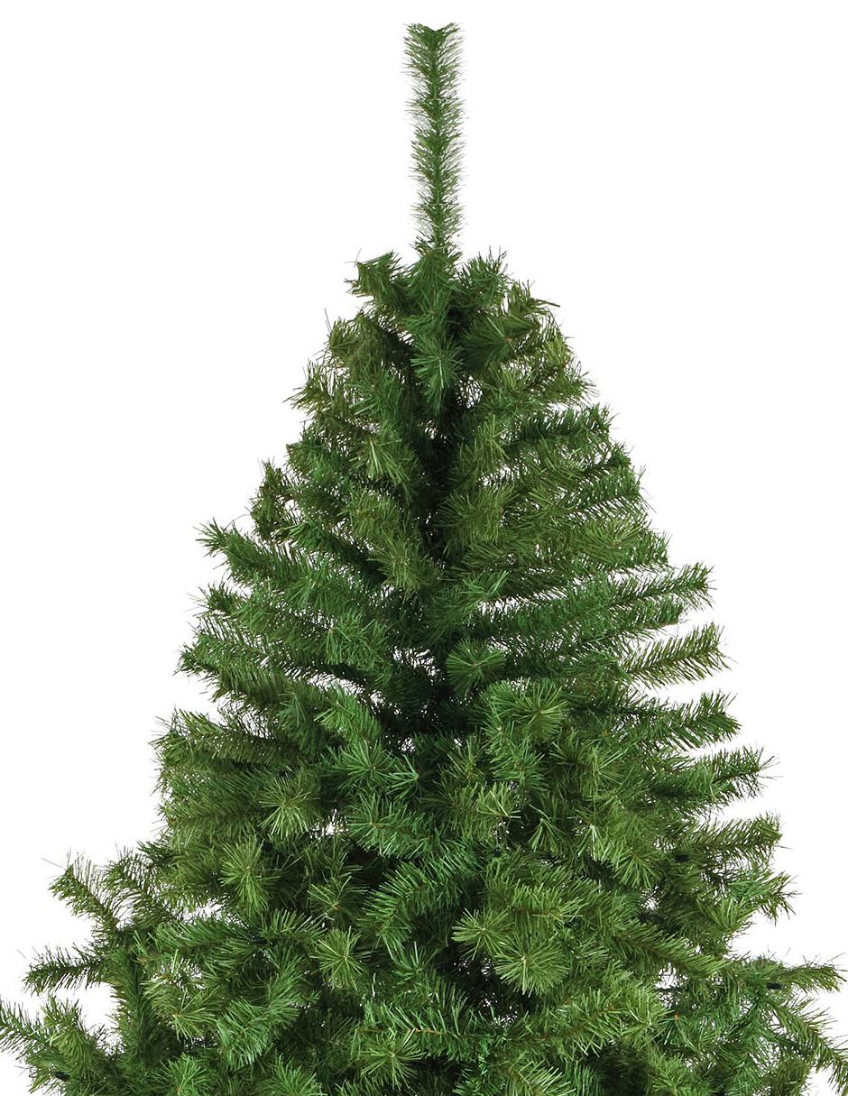 Pino de Navidad Canadiense 2