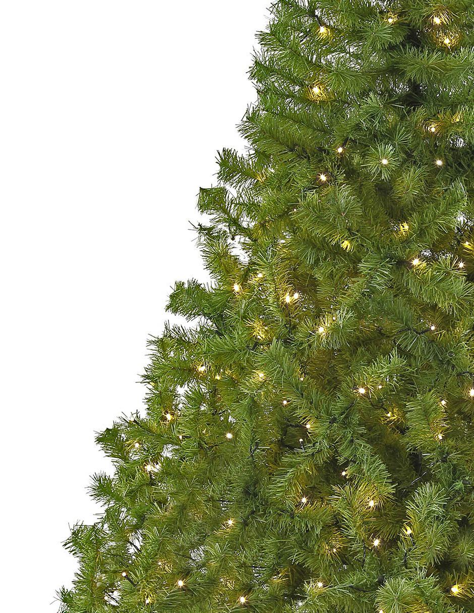 Árbol de Navidad Canadiense con luces 3
