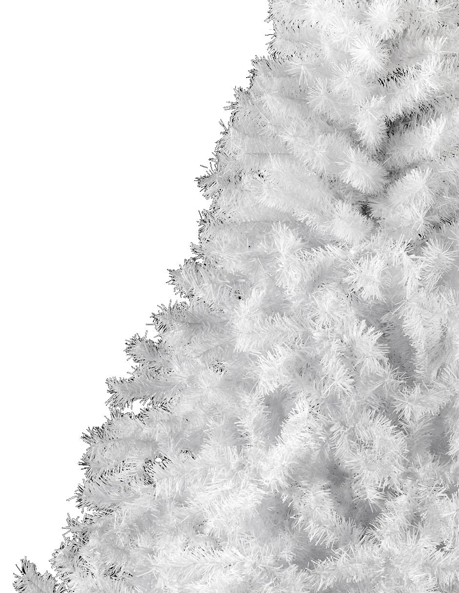 Árbol de navidad Pino Canadiense 3