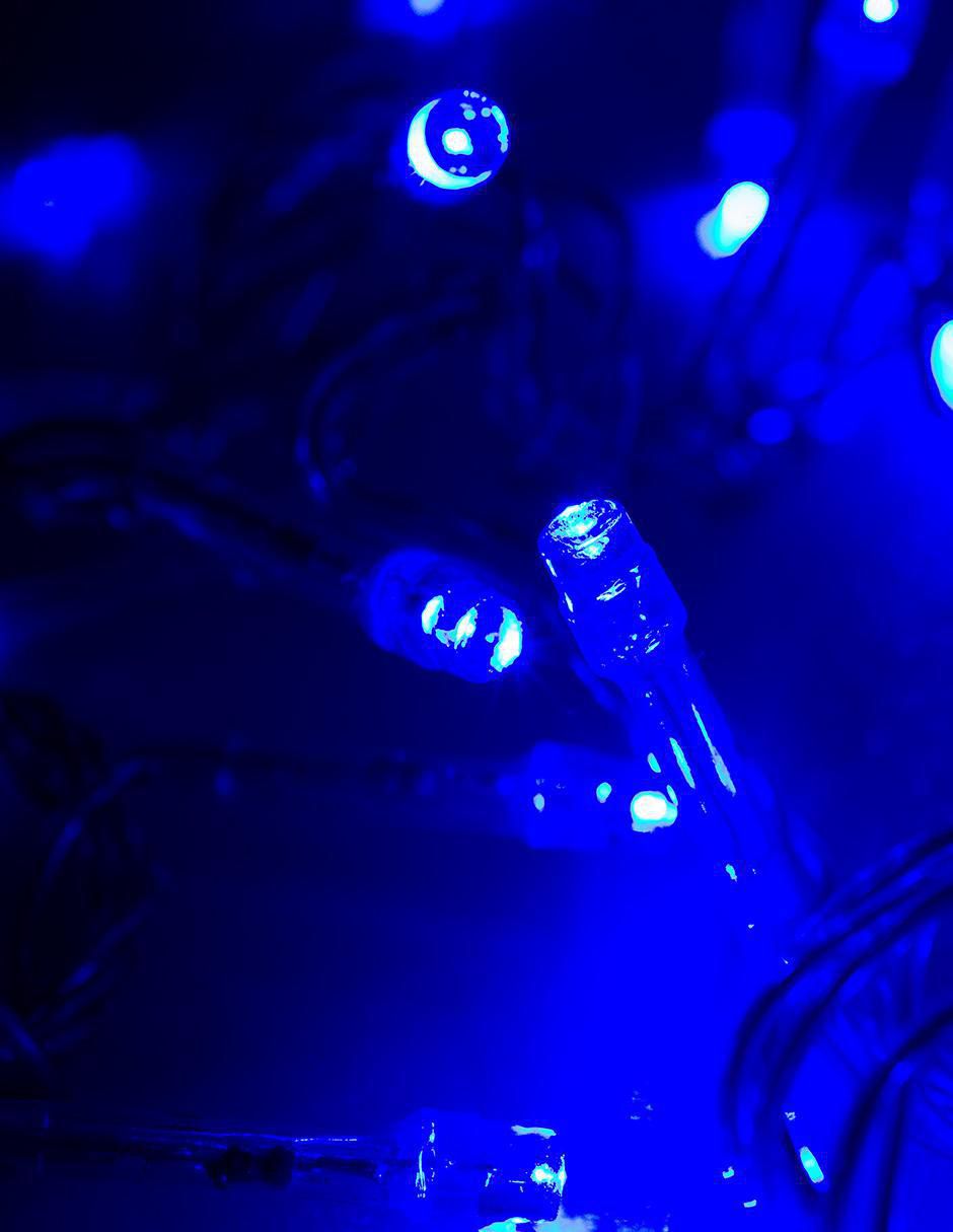 Serie LED L554415 con 300 focos 3