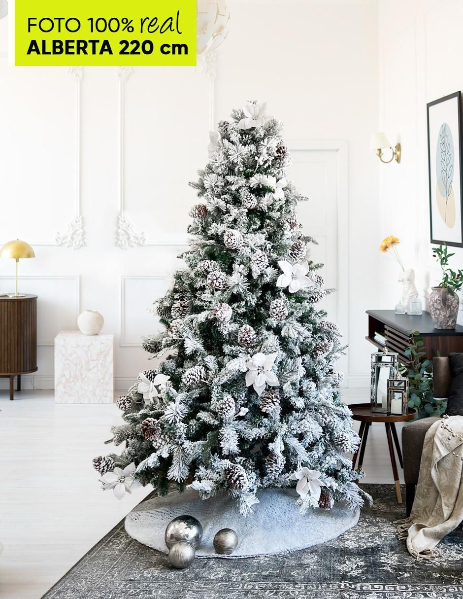 Árbol de navidad Alberta Spruce 2