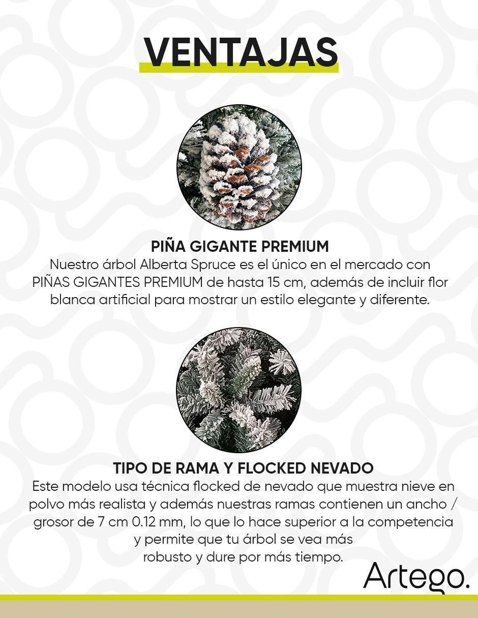 Árbol de navidad Alberta Spruce 5