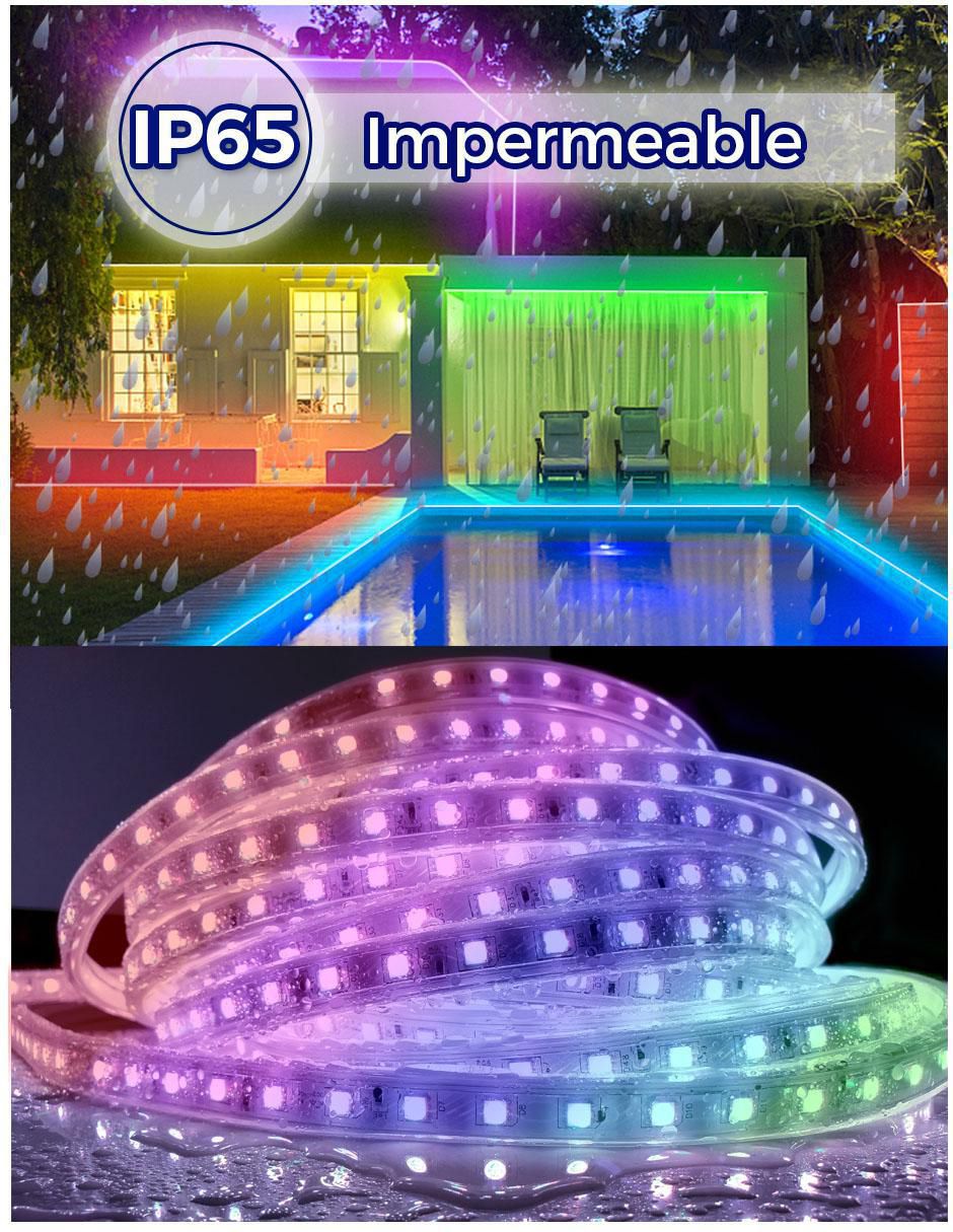 Serie LED DY-YL07 con 1500 focos 5