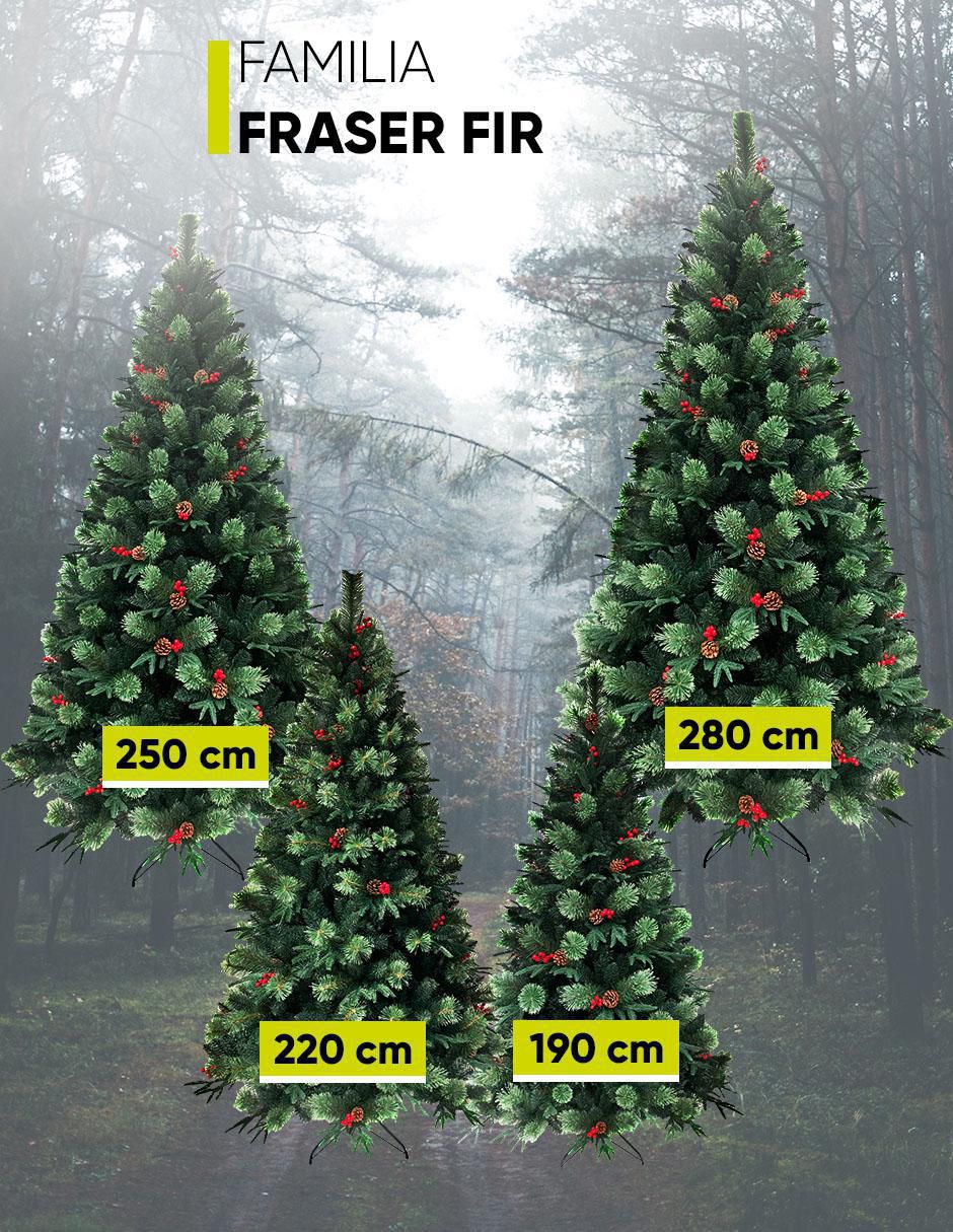 Árbol de navidad Fraser 7