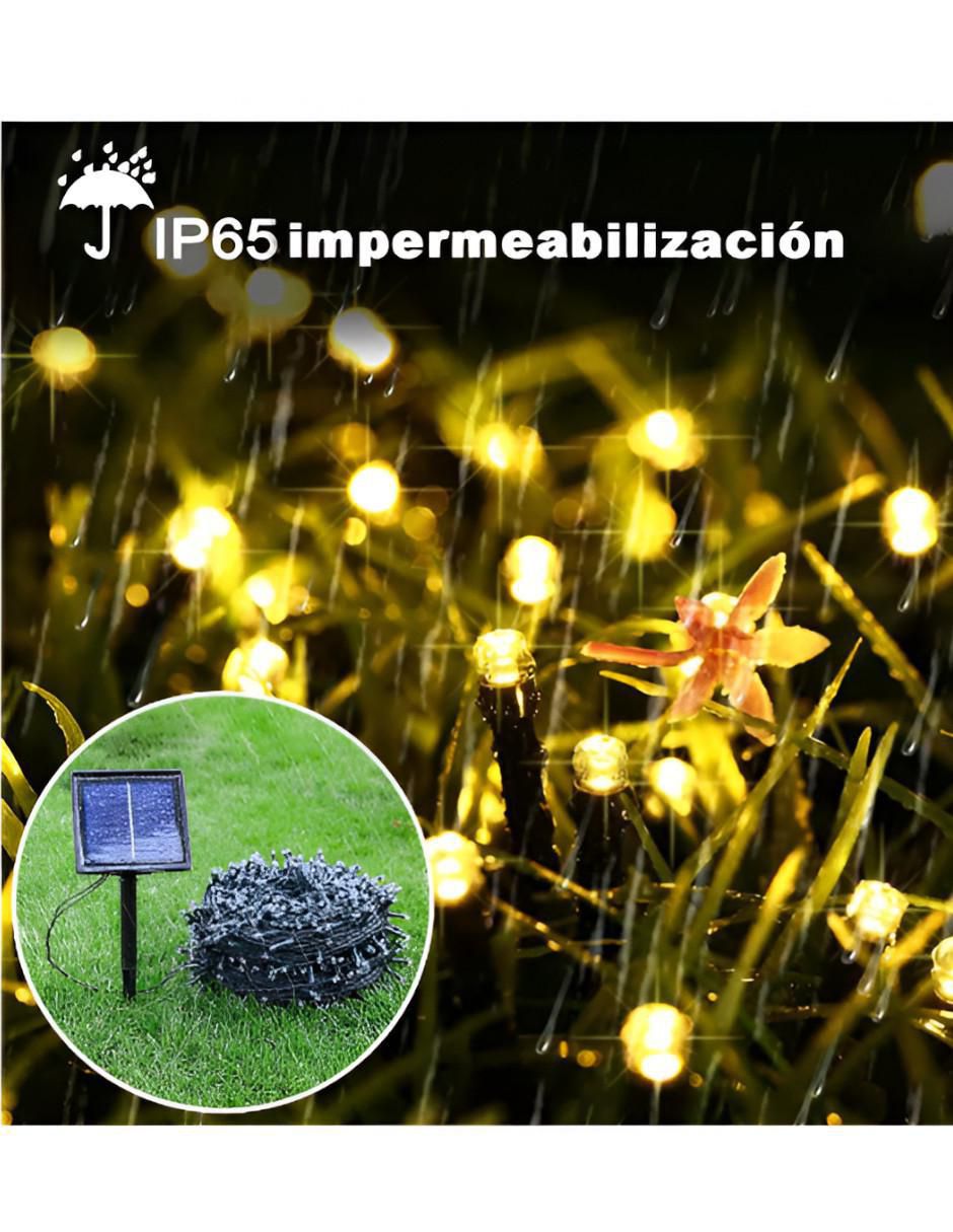 Serie LED ANR2232 con 200 focos 5