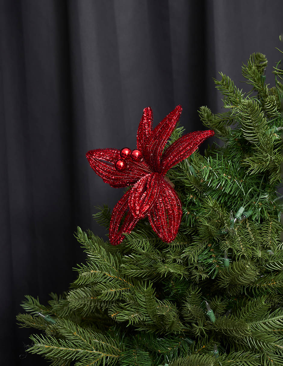 Nochebuena decorativa 2