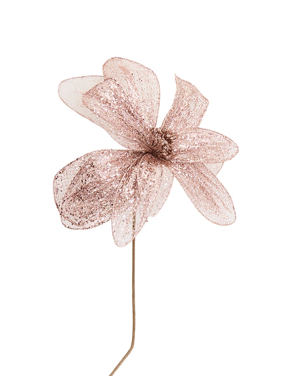 Magnolia decorativa 1