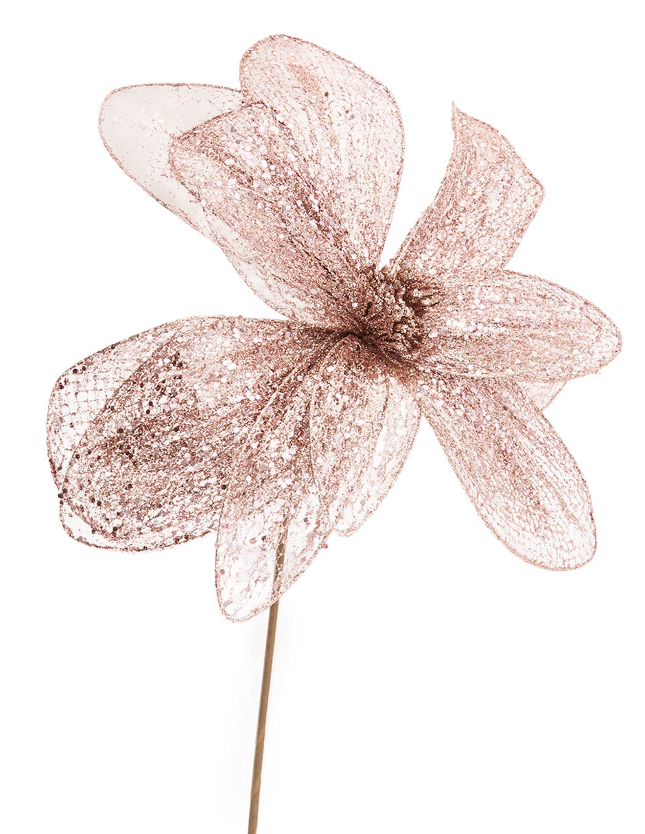 Magnolia decorativa 3