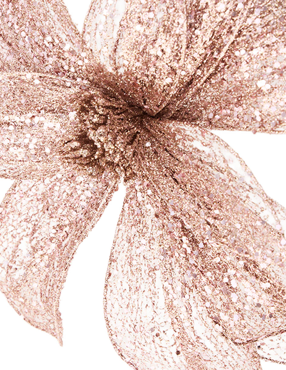 Magnolia decorativa 4