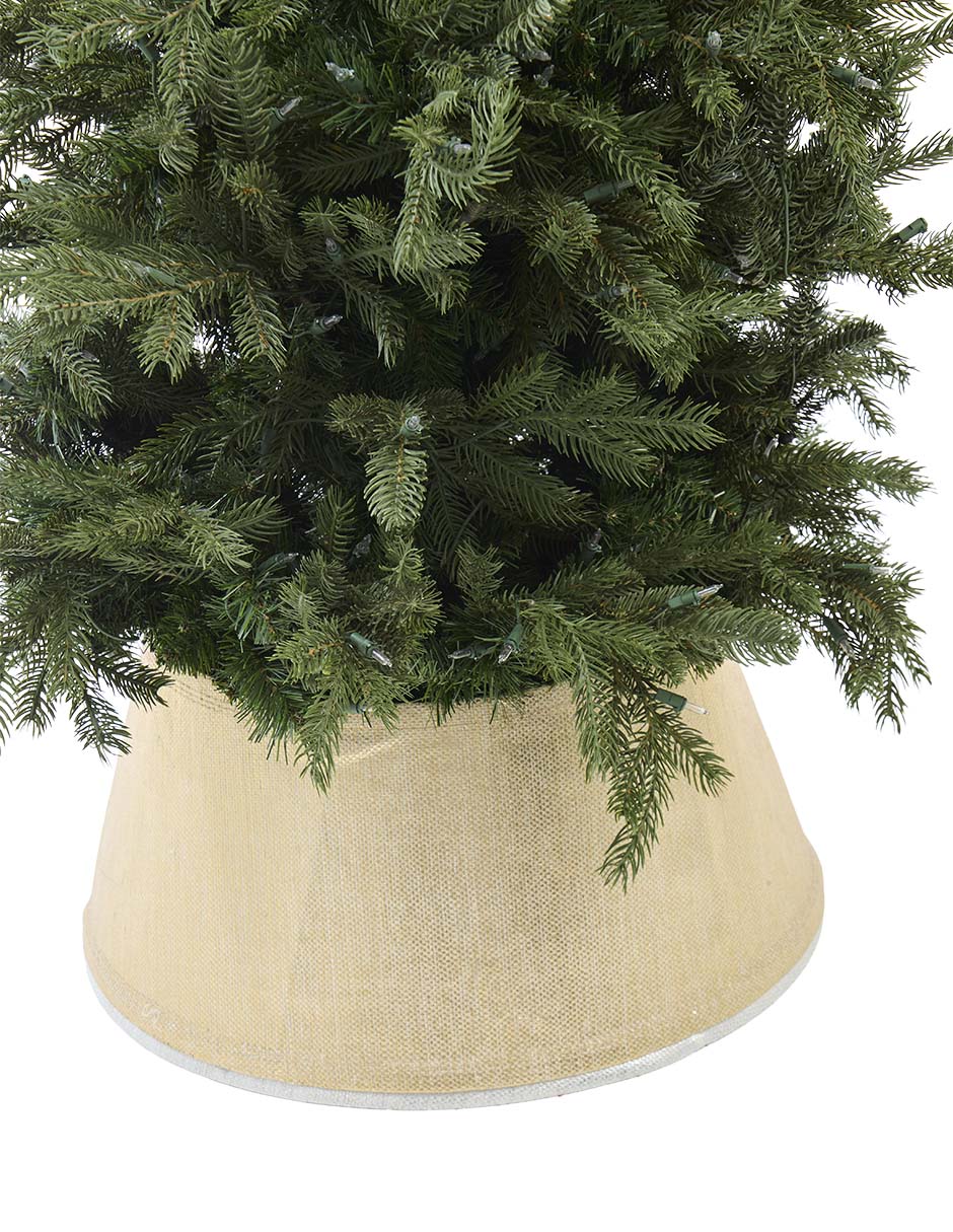 Base para árbol 4