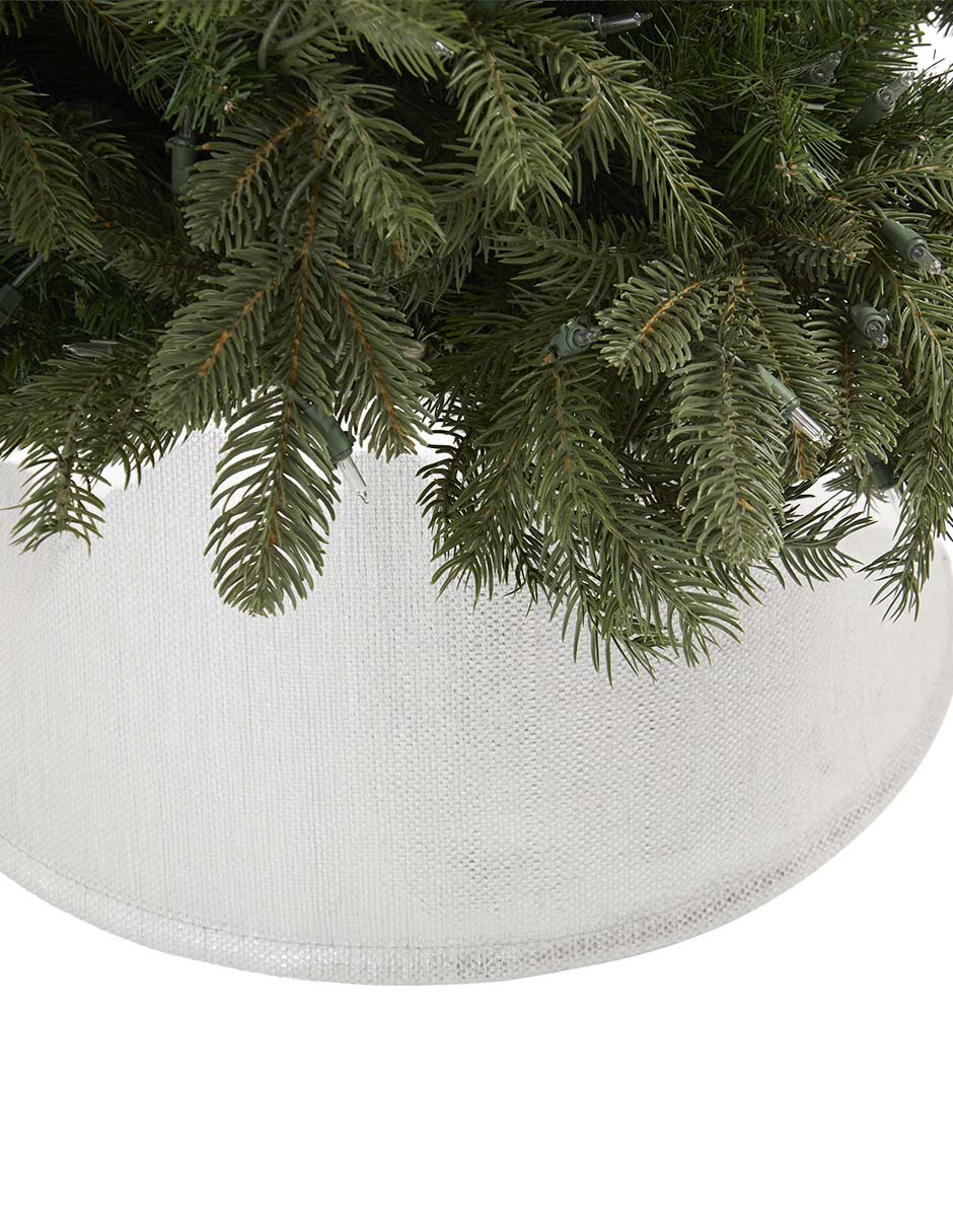 Base para árbol 5