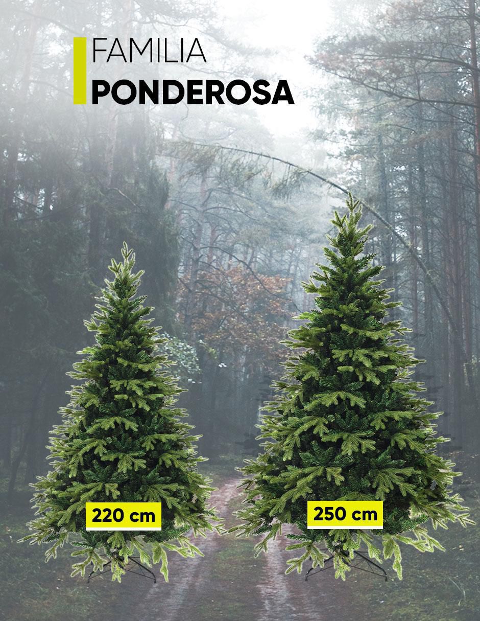 Árbol de navidad Ponderosa 3181 ramas 7