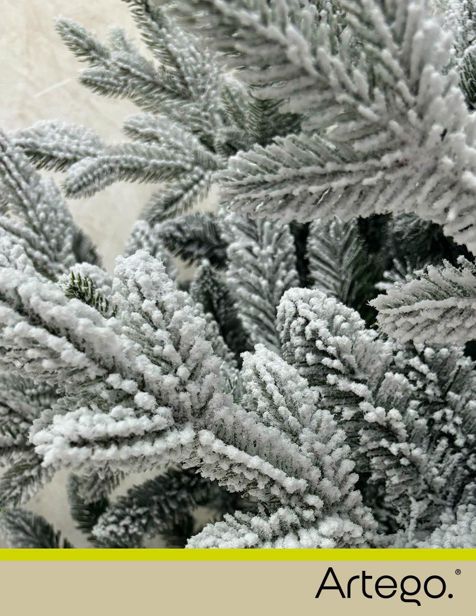 Árbol de navidad Hemlock 3